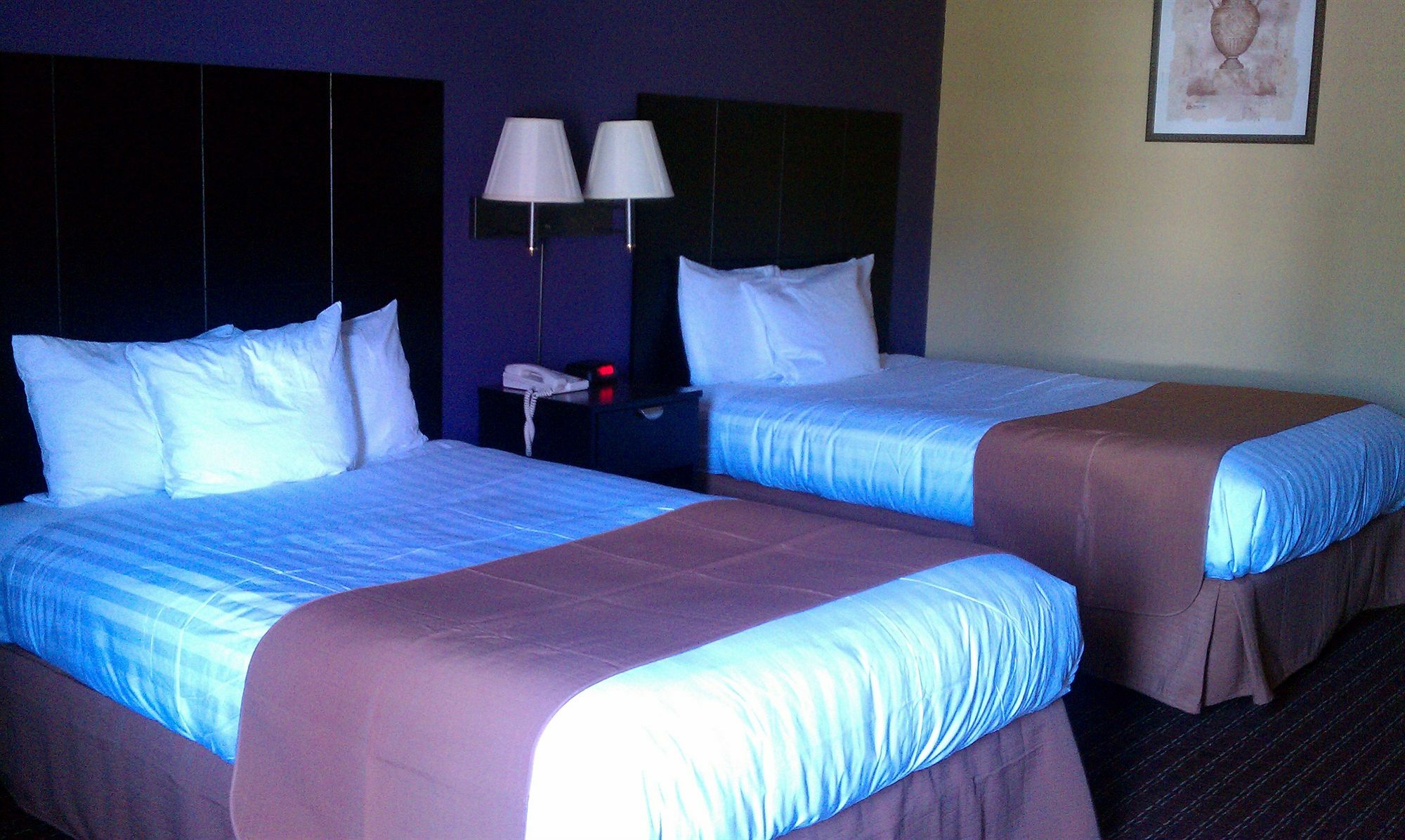 Surestay By Western Afb Hotel 3*